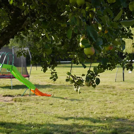 Sweet Vosges Montana